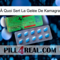 À Quoi Sert La Gelée De Kamagra new03